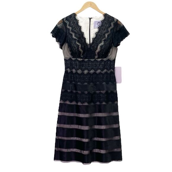 NWT JS Collections Black Nude Lace Illusion Midi Dress Sheer Stripe Size 6 NEW - Picture 2 of 13